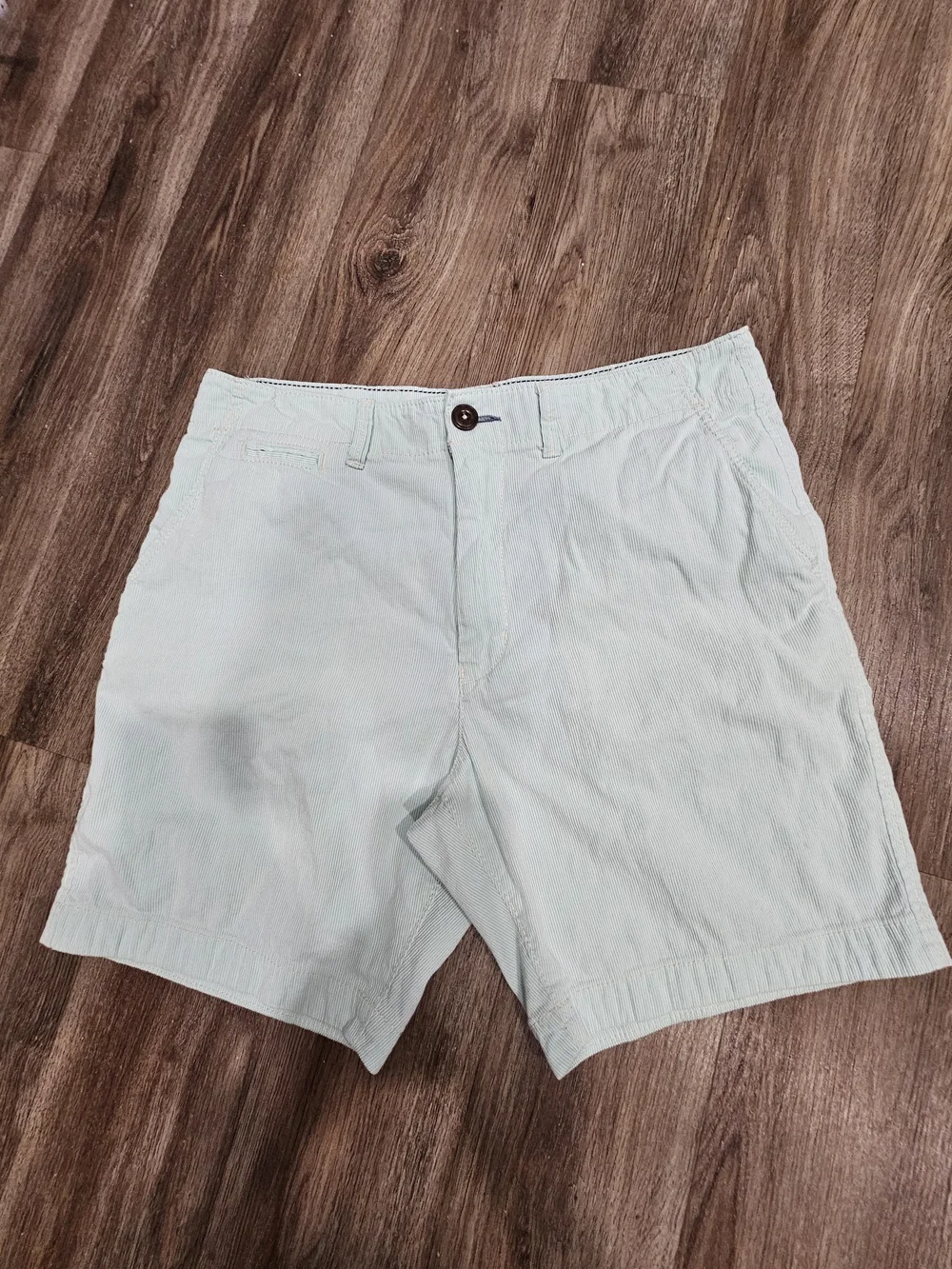 American Eagle Outfitters Mint Green Flat Front Men's Shorts